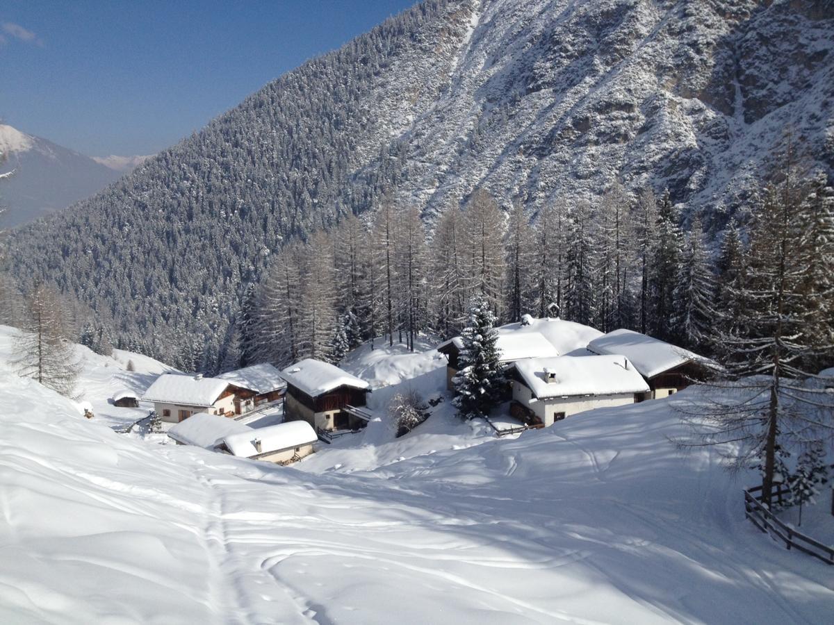 Alpenferienwohnung Strickner Neustift im Stubaital Exterior foto